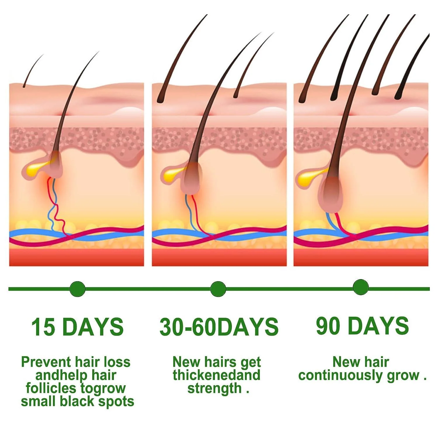 EELHOE Rosemary Oil for Hair Growth - Image 8