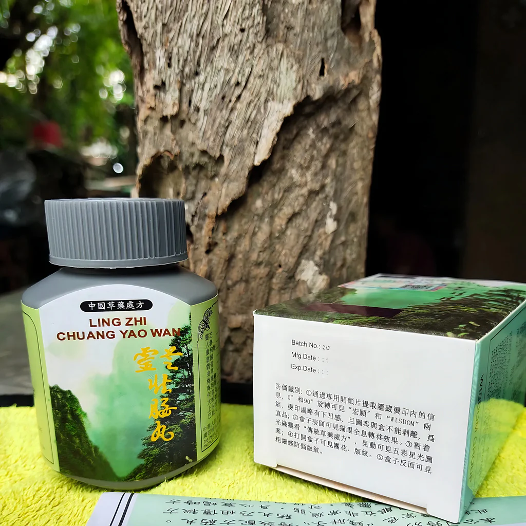 Ling Zhi Chuang Yao Wan – 50 Capsules - Image 2
