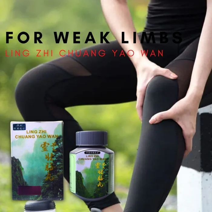 Ling Zhi Chuang Yao Wan – 50 Capsules - Image 7