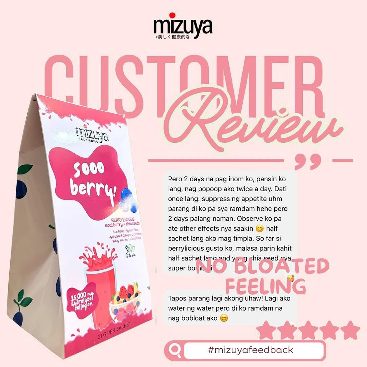 Mizuya Sooo Berry! Berrylicious Acai Berry + Chia Seeds Mixed Berries - 21g × 10 Sachets - Image 11