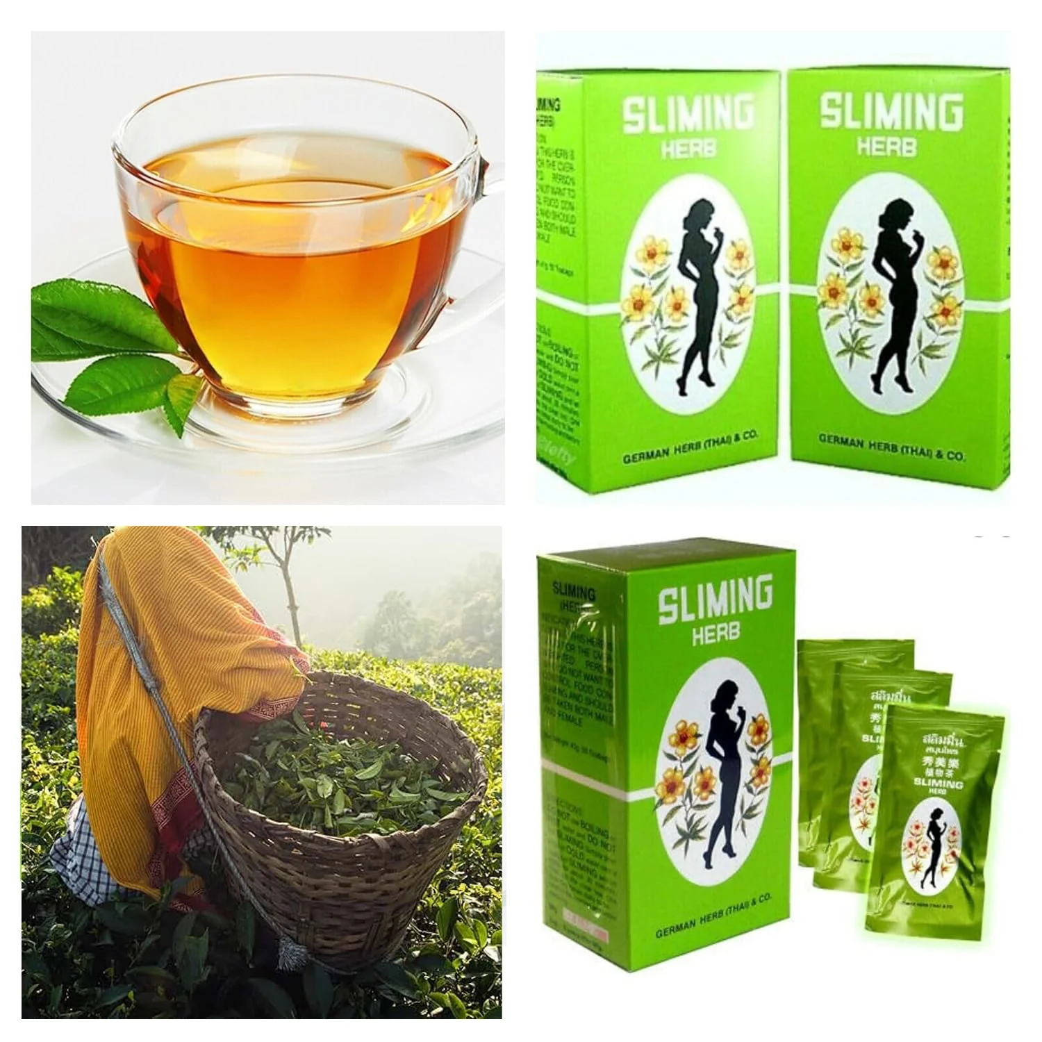 Sliming Herb Tea by German Herb (Thai) & Co – 50 Tea Bags | BUY 2 GET 1 OFFER - Image 8